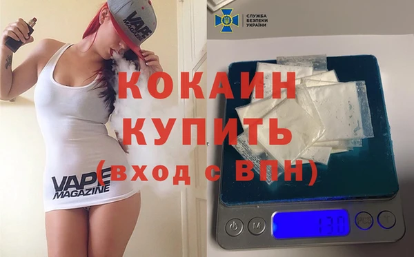 индика Тайга