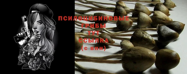 мяу мяу мука Сясьстрой