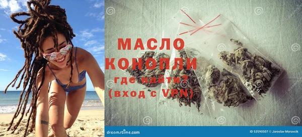 индика Тайга