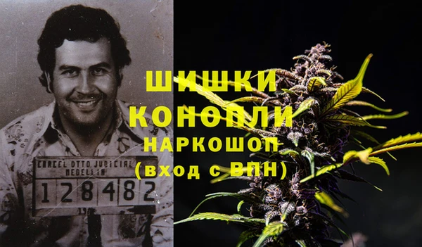 индика Тайга