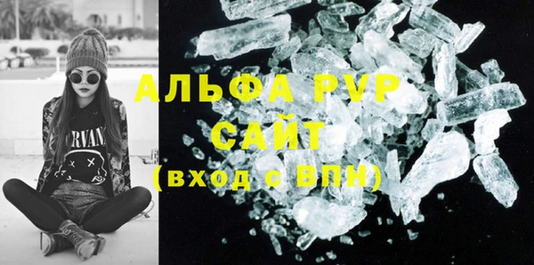 индика Тайга