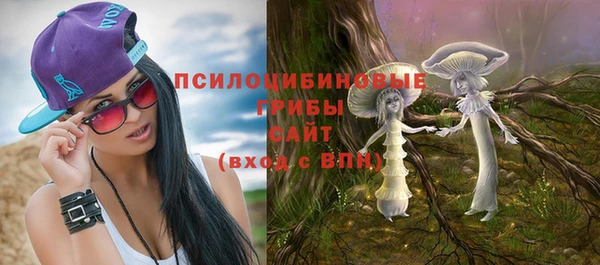 тгк Тавда
