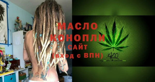 индика Тайга