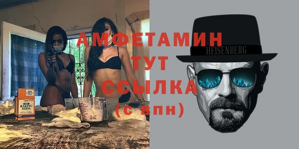 индика Тайга