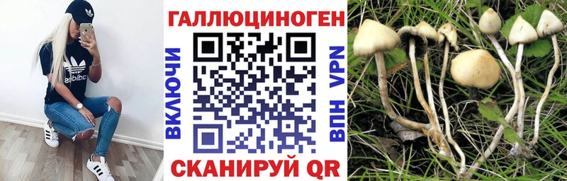 Псилоцибиновые грибы мухоморы  Купить  Карасук 