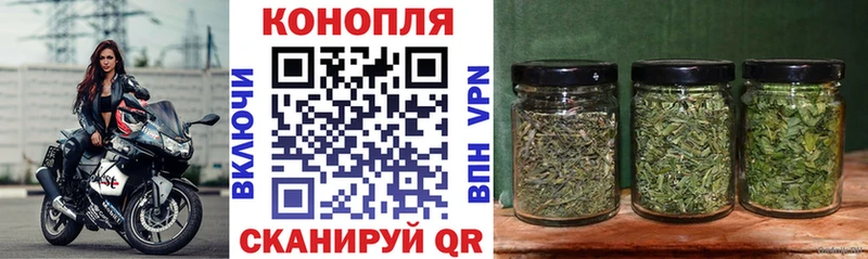 Купить где Карасук Шишки марихуана SATIVA & INDICA